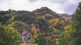 청량산시골집독채민박