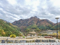 청량산시골집독채민박