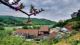 힐링스토리펜션&야영장