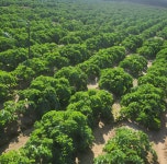 제주팜스친환경영농조합법인