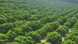 제주팜스친환경영농조합법인