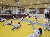 스타태권도