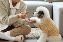 사랑스럽댕