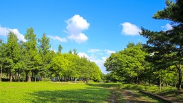 강산조경