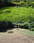 온누리조경