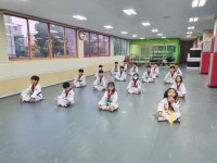 정운태권도장