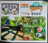 명성 복숭아농장