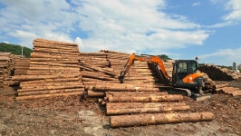신라제재소(1종) | 형제제재소