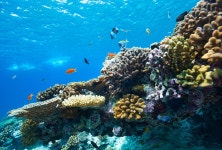 해피라이프투어