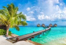 (주)하나리더투어