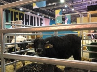 코리안넷 | 재외동포 광장 | 재외동포 이모저모 | 해외통신원 소식