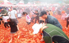 KoreanNet | Information Center | Government News