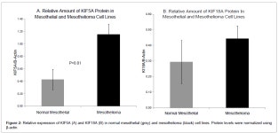Attempted Validation of Surface Enhanced Laser Desorption Ionization-Time of Flight Derived Kinesin Biomarkers in Malignant... 