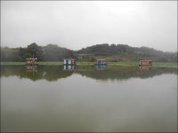 오목낚시 유료낚시터 > 오목낚시터 칠월 첫주말 조황이입니다!!! : 낚시사랑