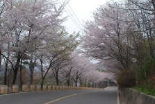 아름다운 섬의 고장 옹진관광문화