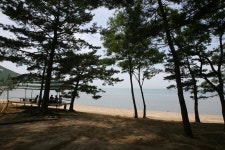 옹진포토-북도(장봉)-진촌해변 내용 | media