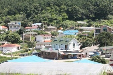 옹진포토-자월면(승봉도)-민박촌 내용 | media