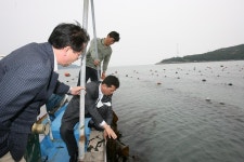 옹진포토-완도군 금일읍 다시마양식장 내용 | media