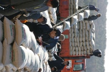 옹진포토-영흥면-공공비축미곡매입현장 내용 | media