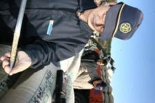 옹진포토-영흥면-공공비축미곡매입현장 내용 | media