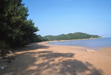 옹진포토-북도-수기해변 내용 | media
