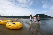 옹진포토-자월면-대이작도-작은풀안해변-풀등 내용 | media