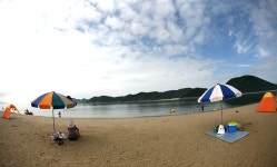 옹진포토-자월면-대이작도-작은풀안해변-풀등 내용 | media