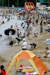 옹진포토-영흥면-2008여름-장경리해변 내용 | media