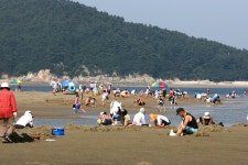 옹진포토-자월면 대이작도 풀등 내용 | media