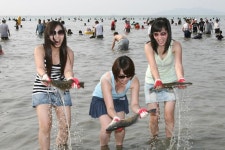 옹진포토-영흥면 장경리해변 맨손고기잡이 내용 | media