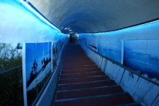 옹진포토-군부대터널관광자원화 내용 | media