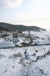 옹진포토-북도면-신도-설경 내용 | media