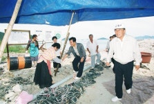 옹진포토-울도 주민 격려 내용 | media