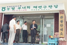 옹진포토-자월2리 농협 부녀회 해변구판장 내용 | media