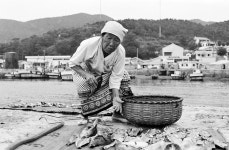 옹진포토-1980년08월12일 대청도 사진02-경기도청제공사진 내용 | media