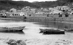 옹진포토-1981년05월15일 대청도 선진포항전경-경기도청제공사진 내용 | media