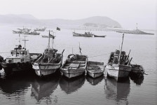 옹진포토-1989년06월13일 연평도전경-경기도청제공사진 내용 | media