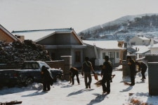옹진포토-1978년 대청면 대청2리 자연보호-새마을운동 내용 | media