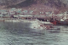 옹진포토-1978년 대청면 대청2리 자연보호-새마을운동 내용 | media