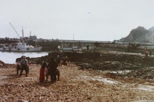 옹진포토-1979년 대청면 대청2리 물량장 내용 | media