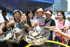 옹진포토-2010년06월14일 옹진섬농수산직거래장터 내용 | media