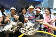 옹진포토-2010년06월14일 옹진섬농수산직거래장터 내용 | media