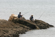 옹진포토-2010년07월31일 대청도 지두리해변 갯바위낚시 내용 | media