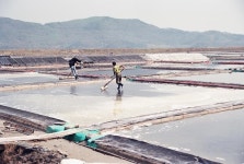 옹진포토-북도면 신도 염전 소금 제조 장면 1999년04월22일 내용 | media