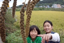 옹진포토-자월면 조 스케치사진 2010년10월04일 내용 | media