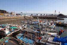 옹진포토-영흥면 진두 선착장 2012년02월09일 내용 | media