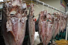 옹진포토-연평면 농어말리기 2012년04월12일 내용 | media