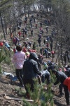 옹진포토-북도면 장봉도 식목일행사 2015년03월25일 내용 | media