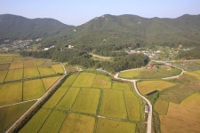 옹진포토-덕적면 서포2리 기획팀외주촬영 2014년10월 내용 | media