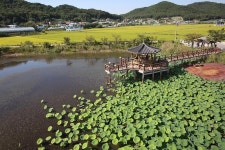 옹진포토-북도면 신도저수지전경 기획팀외주촬영 2014년10월 내용 | media
